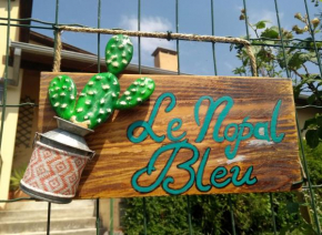 Le Nopal Bleu